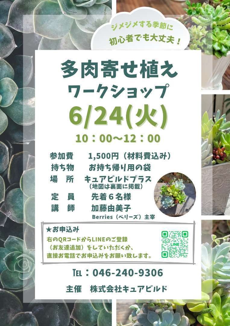 多肉寄せ植えワークショップを開きます。