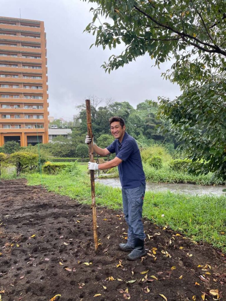 ひまわり 作業中