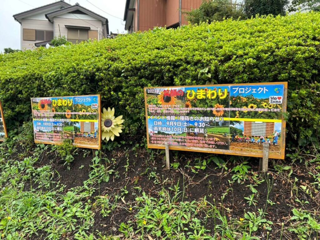 笑顔のひまわり