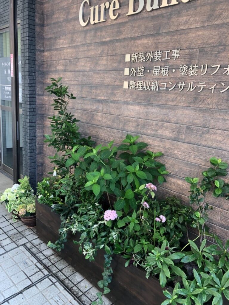 事務所前 プランター