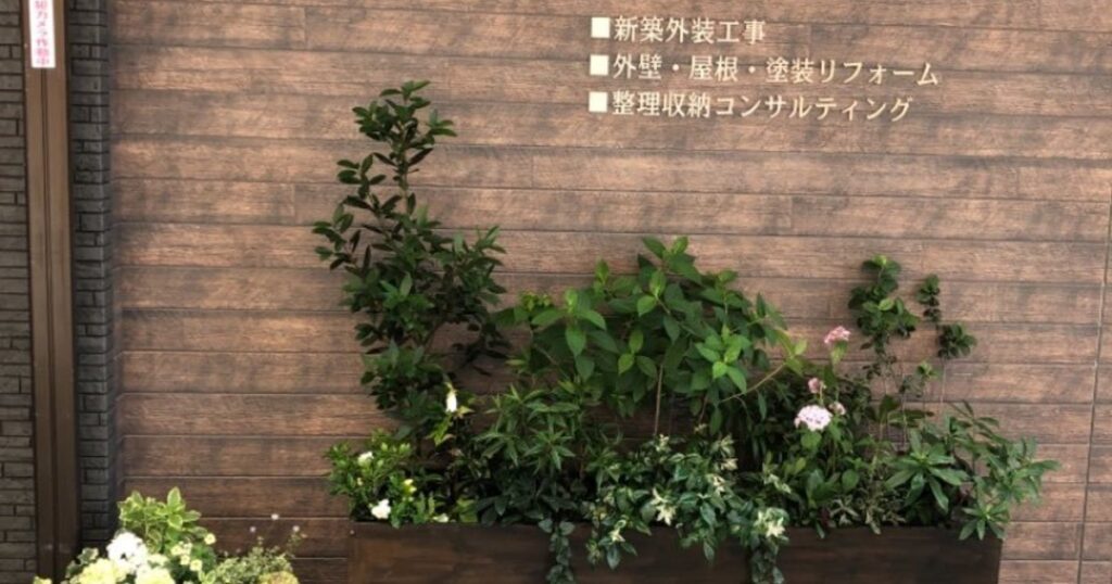 植物 メンテナンス