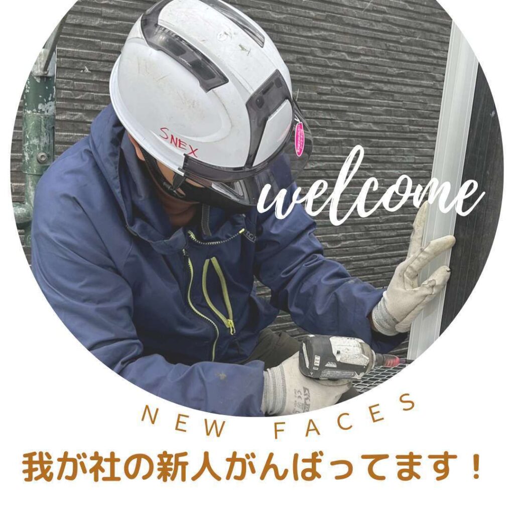キュアビルド 新メンバー