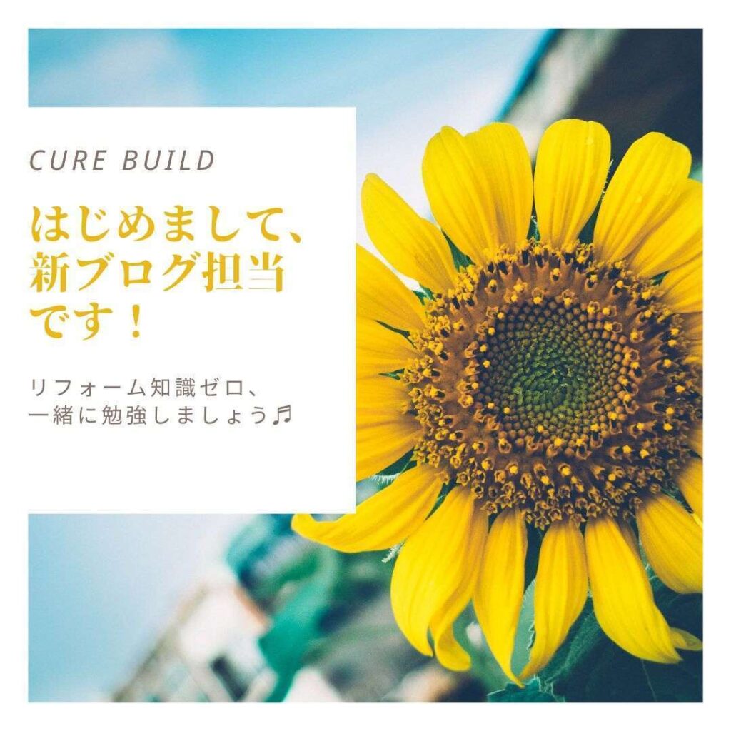 新ブログ担当