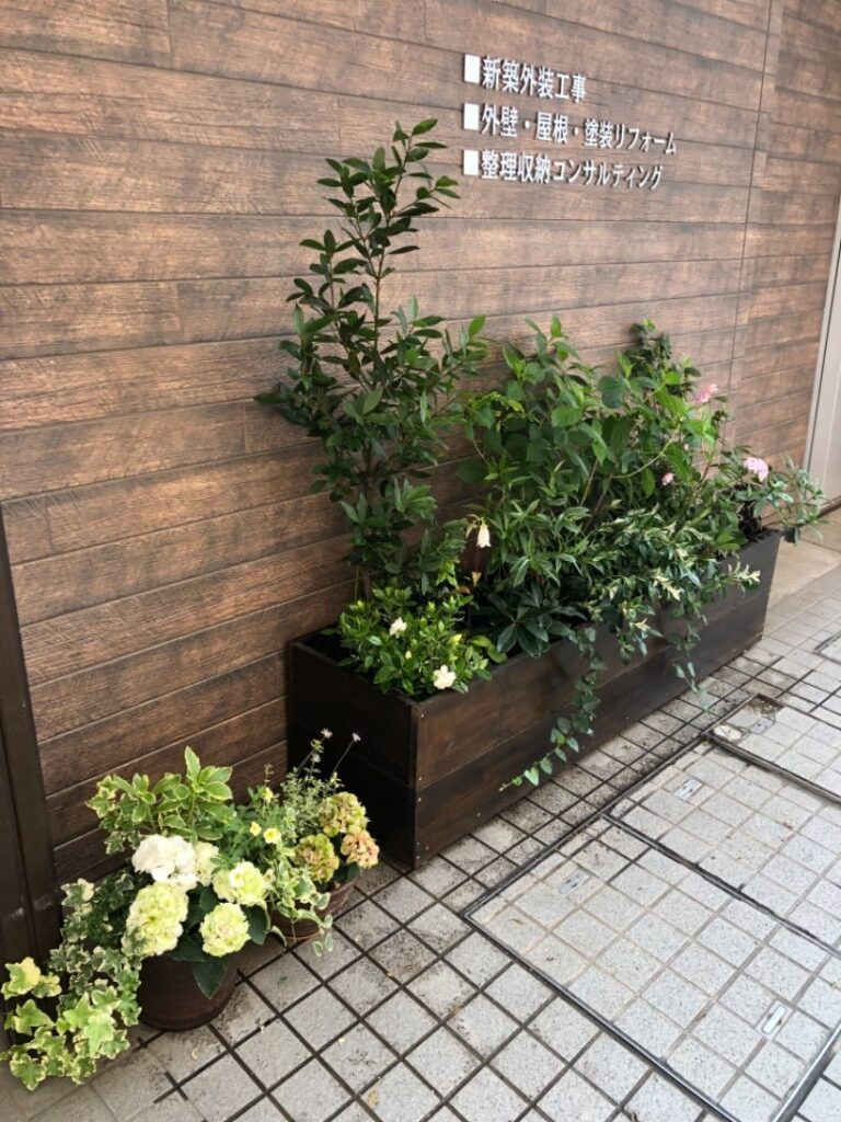 事務所前 植物